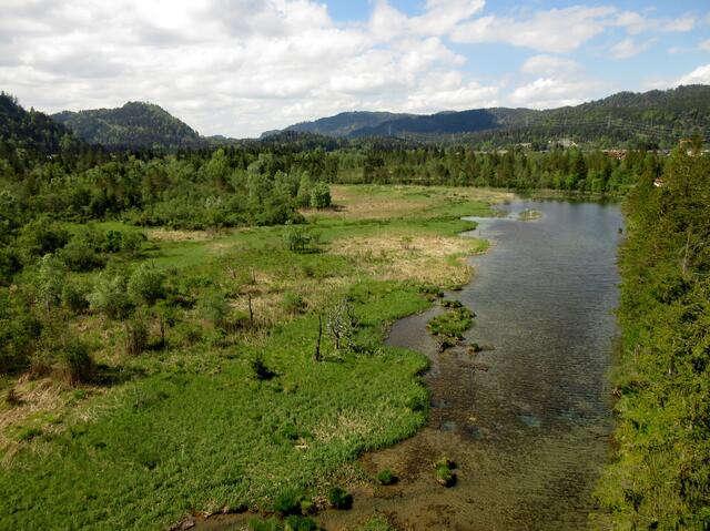 Vogelschutzgebiet | Foto: WandernGabyErich