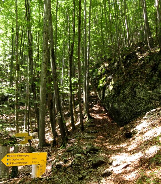 An der Felsgruppe "Israelit" vorbei ging es auf dem Gnomensteig weiter | Foto: WandernGabyErich