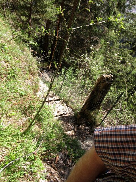 Wandervögel, die müssen auch hoch hinaus und teilweise auf abenteuerlichen Wegen | Foto: WandernGabyErich