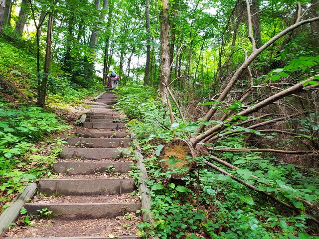 Puuuh, schnauf..... Das sind wirklich ziemlich viele Treppen hinauf. Man kommt ganz schön ins Schwitzen und die Beine werden ein bisschen schwerer.  | Foto: sigischlottke