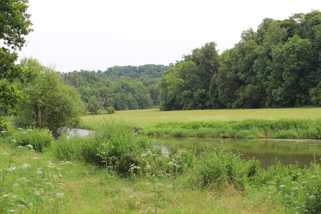 Jagst | Foto: Ralf Röser