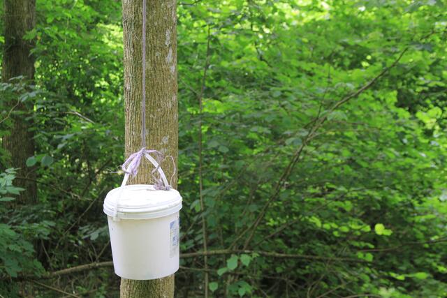 ??? | Foto: Ralf Röser