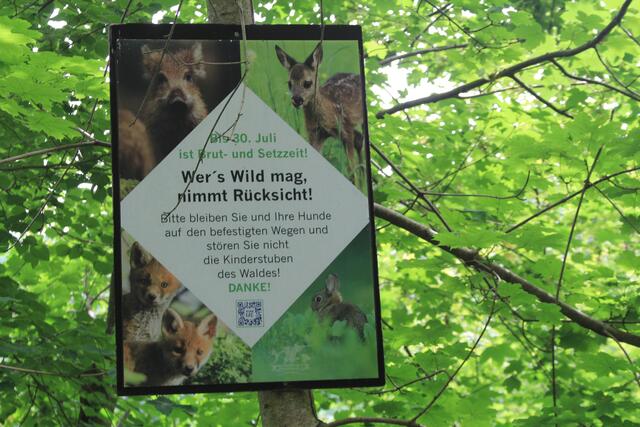 Info | Foto: Ralf Röser