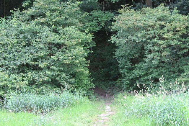 da rein und dann rechts | Foto: Ralf Röser