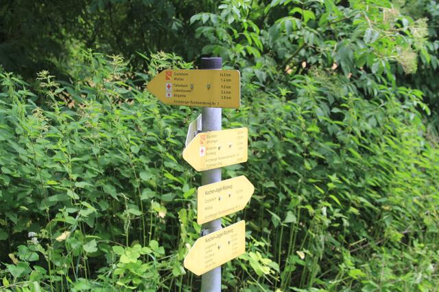 Info | Foto: Ralf Röser