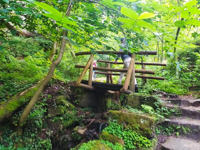 Das Bächle muss gequert werden.  | Foto: sigischlottke
