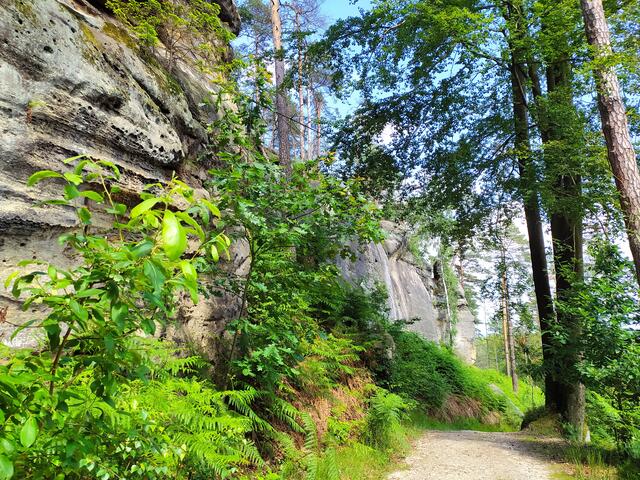 Immer wieder herrliche Felsen neb en dem Pfad, der uns ins Sebnitztal bringt.  | Foto: sigischlottke
