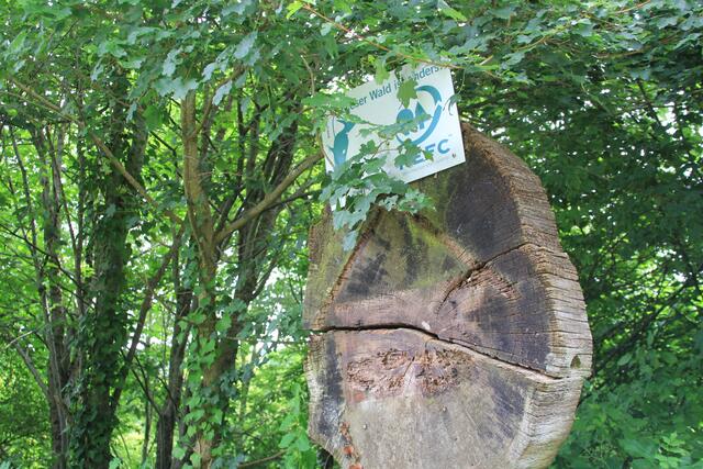 Info | Foto: Ralf Röser