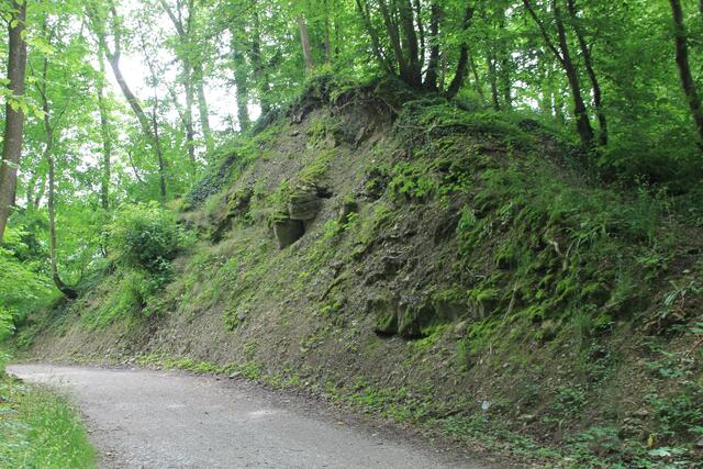 nach der Kurve links in den Wald | Foto: Ralf Röser