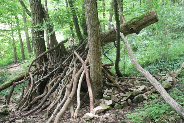 cool | Foto: Ralf Röser