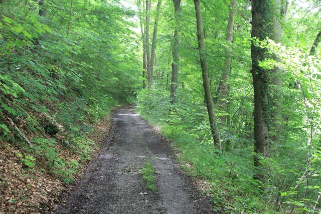 und weiter | Foto: Ralf Röser