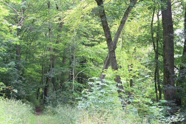 und weiter | Foto: Ralf Röser