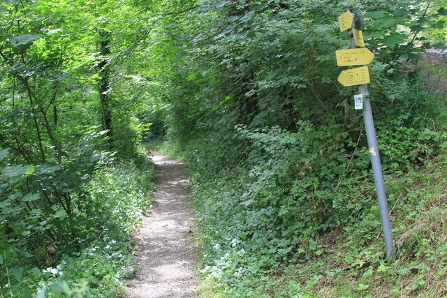 Info- da runter | Foto: Ralf Röser