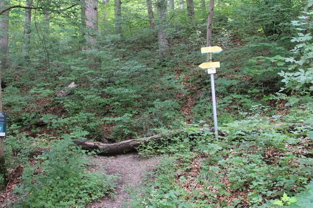 rechts lang | Foto: Ralf Röser