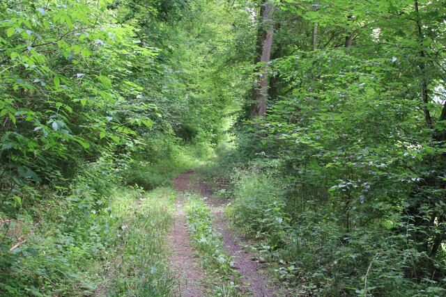 da lang | Foto: Ralf Röser