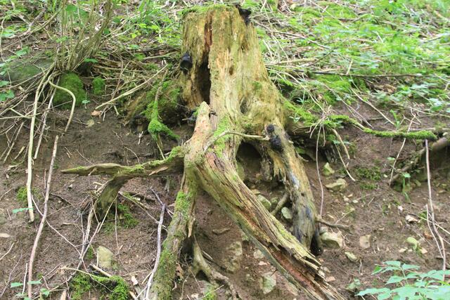 cool | Foto: Ralf Röser