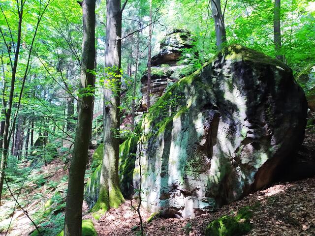 Herrliche Felsen immer wieder am Wegesrand.  | Foto: sigischlottke