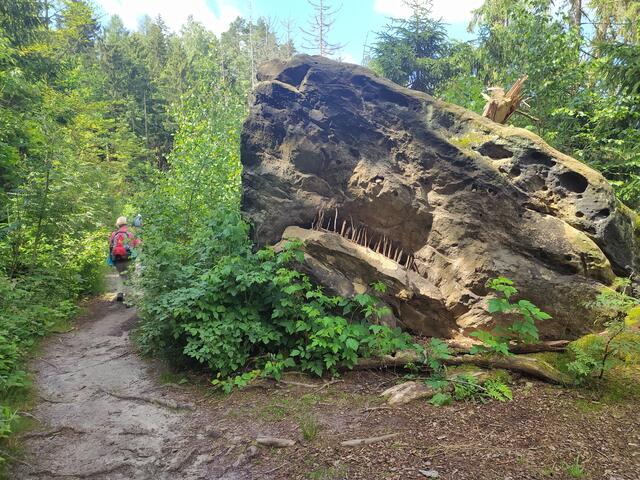 Was für ein Ungeheuer lauert uns da am Wegesrand auf? | Foto: sigischlottke