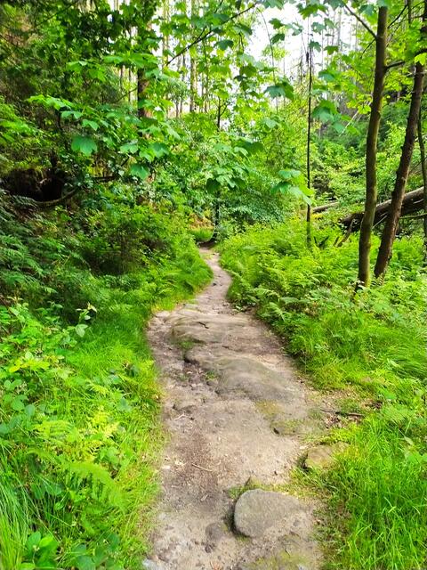 Herrliche Naturpfade.  | Foto: sigischlottke