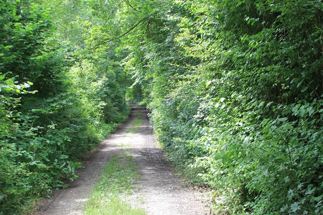 da lang | Foto: Ralf Röser