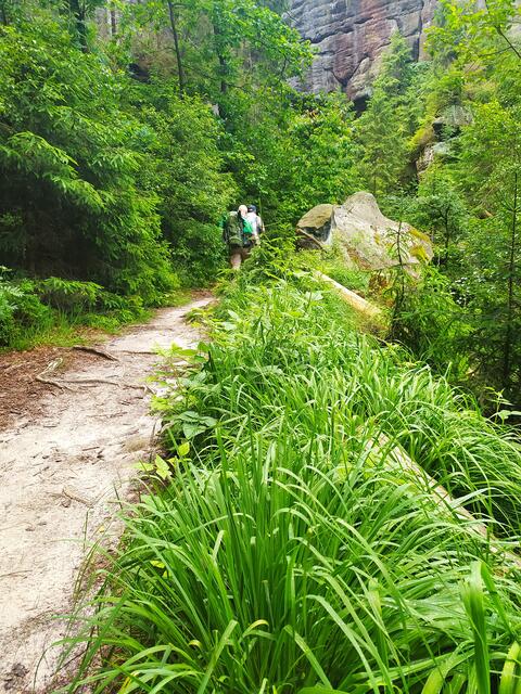 Oben geht's auf schönen Pfaden eben weiter.  | Foto: sigischlottke