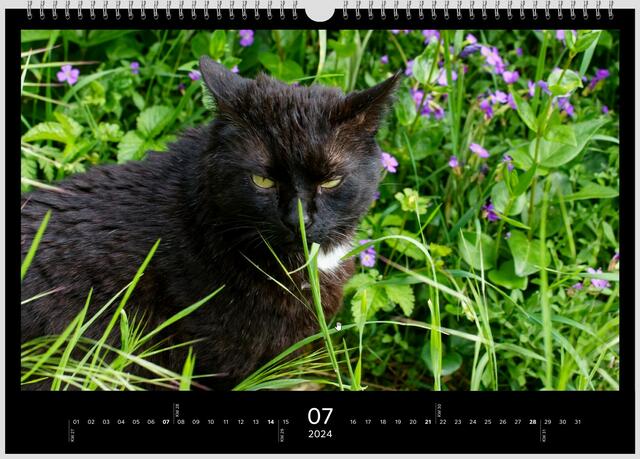 Mein Blumenkind
 | Foto: WKY