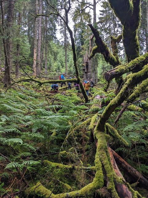 Die Wandergruppe im Bannwald | Foto: öffentlich