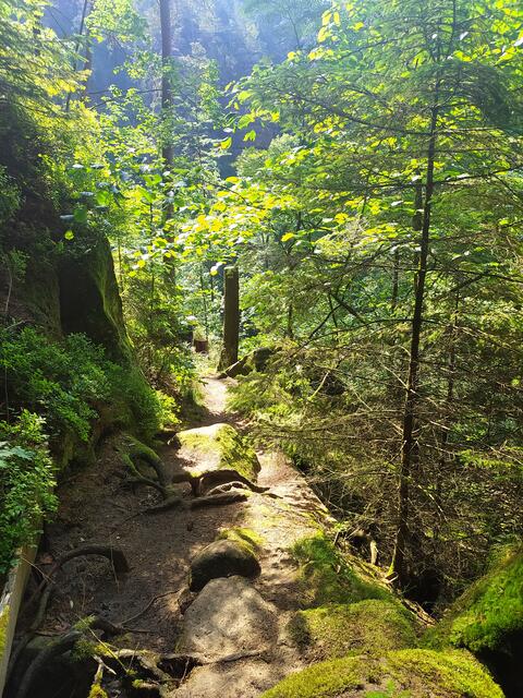 Die Klamm ist sehr wild, aber toll.  | Foto: sigischlottke