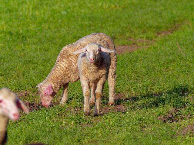 Foto: Eigenes Bild TB