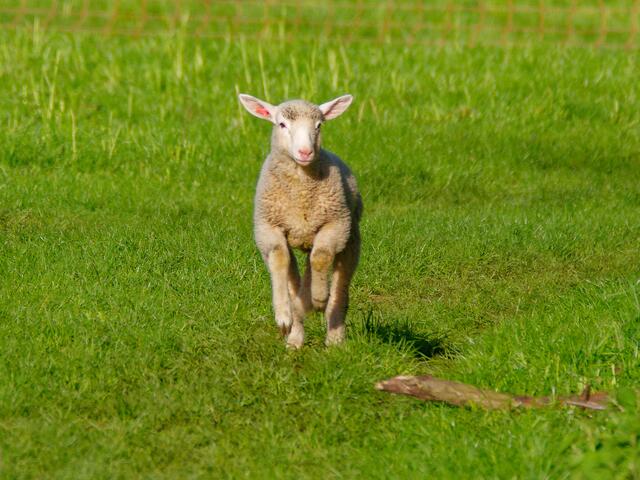 Foto: Eigenes Bild TB