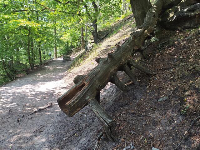 Manch Ungeheuer wartet am Wegesrand | Foto: sigischlottke