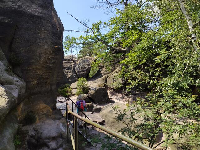 Sowohl auf die Schrammsteine hinauf als auch wieder hinab ist der Weg einfach total spannend - zwischen Felsen hindurch, über felsige Pfade, Leitern und Treppen.  | Foto: sigischlottke