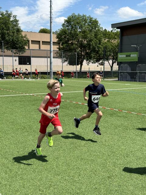 Beim Lauf  | Foto: Elvi Eble