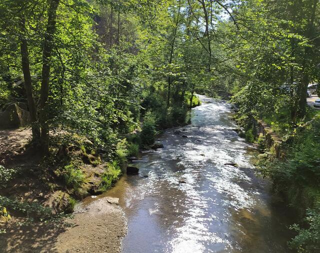 Schon unten im Kirnitzschtal angekommen. Wir wandern nun noch ein Stück der Kirnitzsch und auch der Straße entlang. Dann sind wir am Lichtenhainer Wasserfall angelangt, wo wir unsere 4. Etappe vorerst beenden.  | Foto: sigischlottke