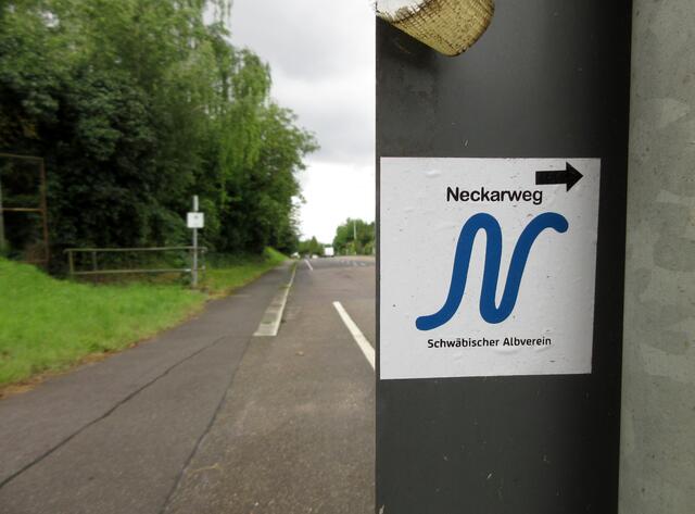 Auf dem Neckarweg... nicht zu verwechseln mit dem Neckarsteig | Foto: WandernGabyErich
