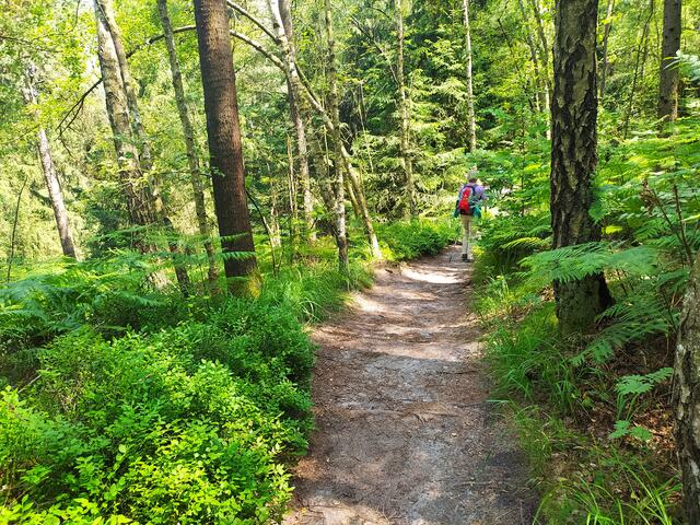 Und dazwischen wieder ein sehr ruhiges Wegstück. | Foto: sigischlottke