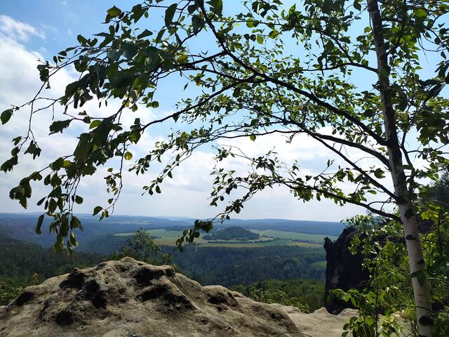 Ein kleines schattenspendendes Bäumchen auf dem sonst schattenlosen Plateau. | Foto: sigischlottke