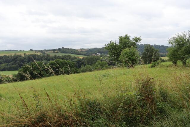 Blick auf Jagsthausen | Foto: Marga Specht