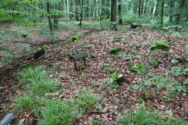 Reste eines ehemaligen Wachturms im Birkenwald von
Unterkessach | Foto: Marga Specht