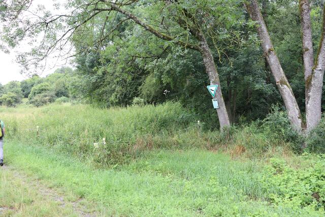 Naturschutzgebiet in der Kalksklinge | Foto: Marga Specht
