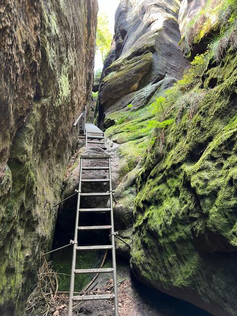 Einige der Leitern, die auf das Felsplateau der Schrammsteine - die Schrammstein-Aussicht - hinaufführen. | Foto: Ulrich Buckenmayer