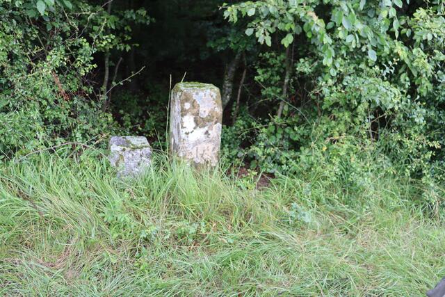 Grenzstein von Großherzogtum Baden und Königreich Württemberg | Foto: Marga Specht