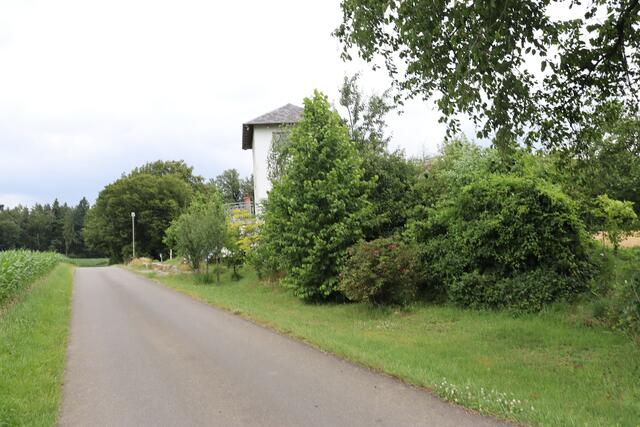 Straße zum Limes Wachthaus | Foto: Marga Specht