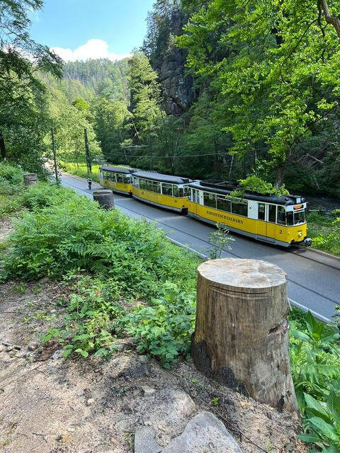 Im Kirnitzschtal kann man auch mit der historischen Kirnitschtalbahn fahren. Sie verkehrt regulär und regelmäßig.  | Foto: Ulrich Buckenmayer
