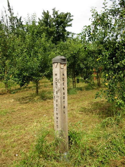 Station 4: Blick ins Neckartal | Foto: WandernGabyErich