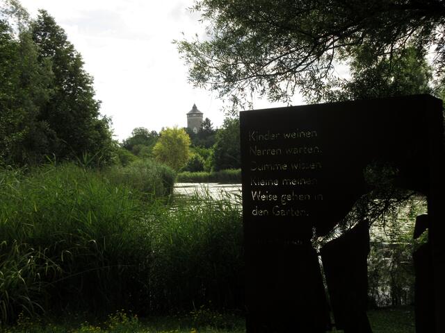 Mal kurz die Sonne weg, schon wird die Stimmung mystisch | Foto: WandernGabyErich