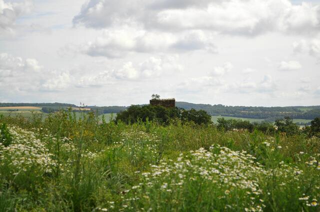 Da hinten liegt das Ziel. | Foto: Daniela Somers