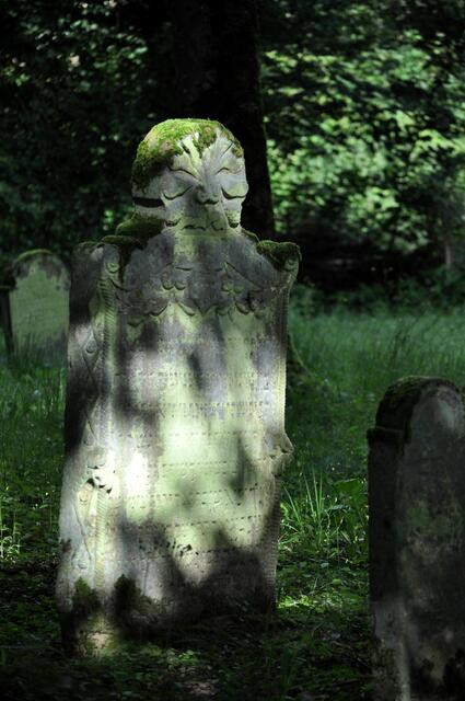 Das Spiel von Licht und Schatten zaubern eine besondere Stimmung auf den Friedhof. | Foto: Daniela Somers