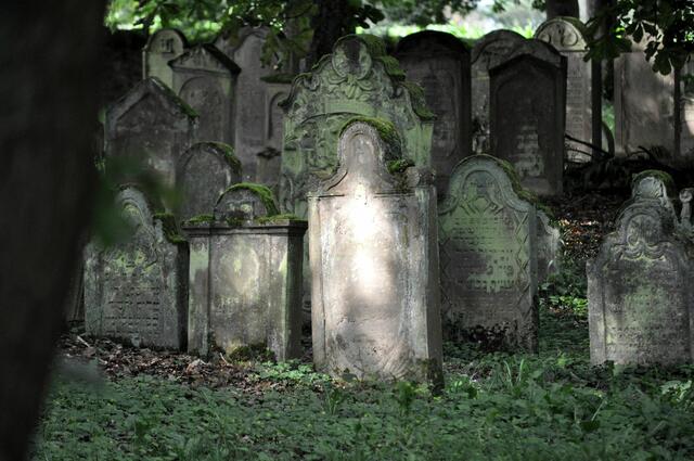 Jüdischer Friedhof mit über 1100 Gräbern. | Foto: Daniela Somers
