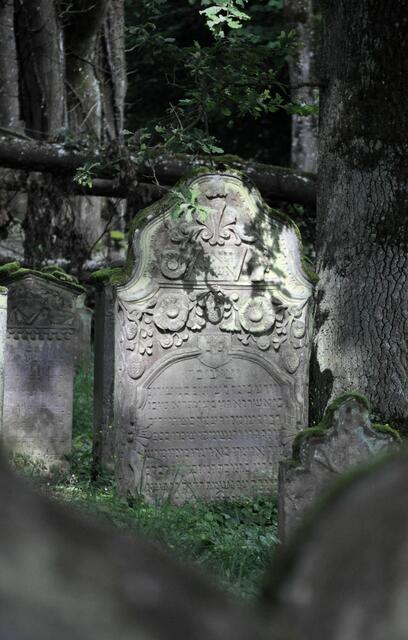 Einer der vielen noch gut erhaltenen Grabsteine. | Foto: Daniela Somers